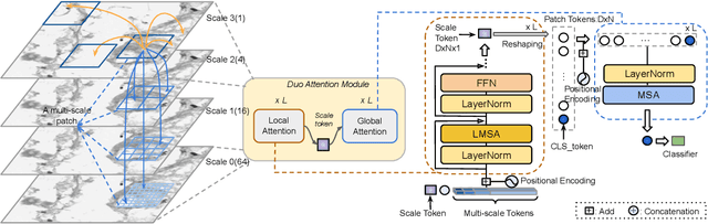 Figure 3 for DuoFormer: Leveraging Hierarchical Representations by Local and Global Attention Vision Transformer