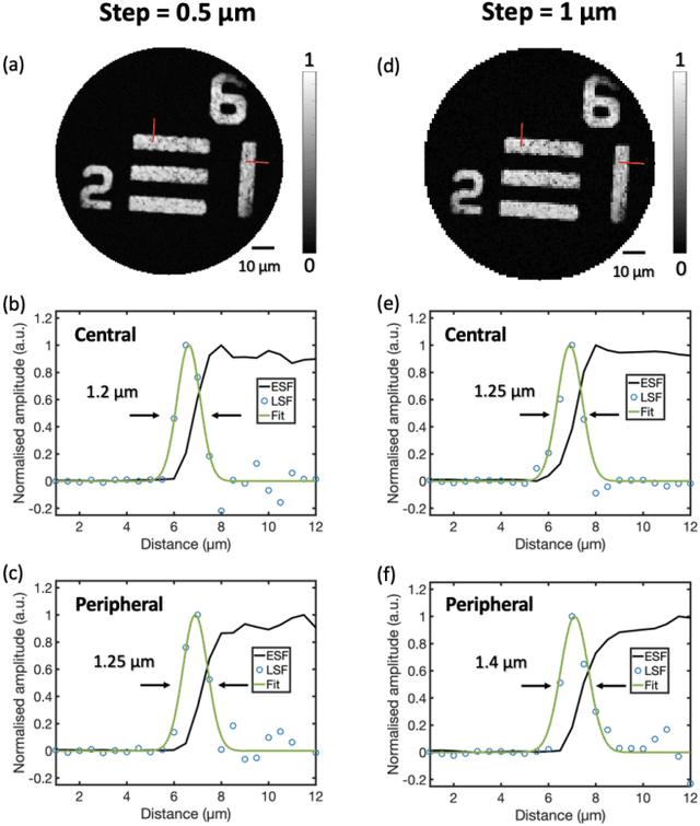 Figure 4 for Ultrathin, high-speed, all-optical photoacoustic endomicroscopy probe for guiding minimally invasive surgery
