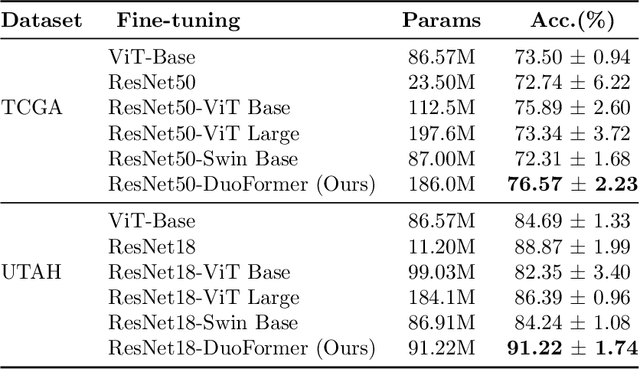 Figure 2 for DuoFormer: Leveraging Hierarchical Representations by Local and Global Attention Vision Transformer