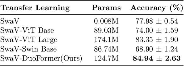 Figure 4 for DuoFormer: Leveraging Hierarchical Representations by Local and Global Attention Vision Transformer