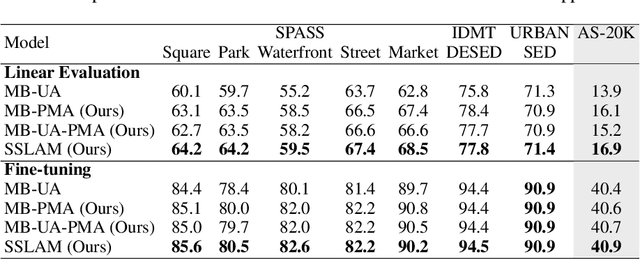 Figure 4 for SSLAM: Enhancing Self-Supervised Models with Audio Mixtures for Polyphonic Soundscapes