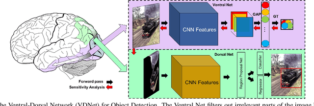 Figure 3 for Ventral-Dorsal Neural Networks: Object Detection via Selective Attention