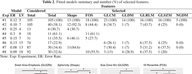 Figure 3 for A Radiomics Approach to Traumatic Brain Injury Prediction in CT Scans