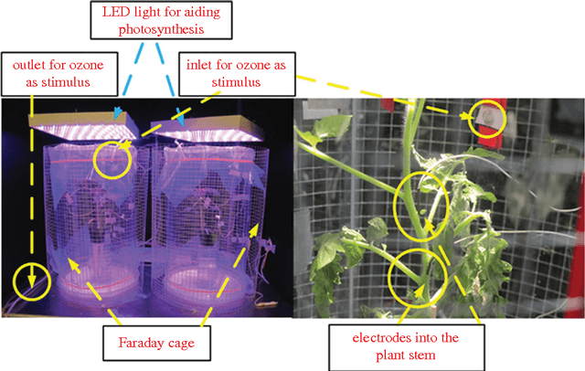 Figure 2 for Exploring Strategies for Classification of External Stimuli Using Statistical Features of the Plant Electrical Response