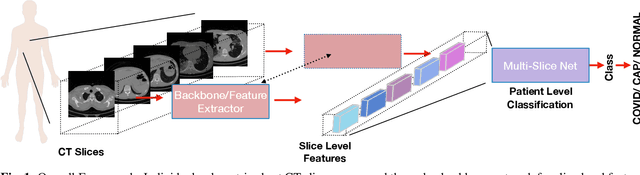 Figure 1 for Multi-Slice Net: A novel light weight framework for COVID-19 Diagnosis