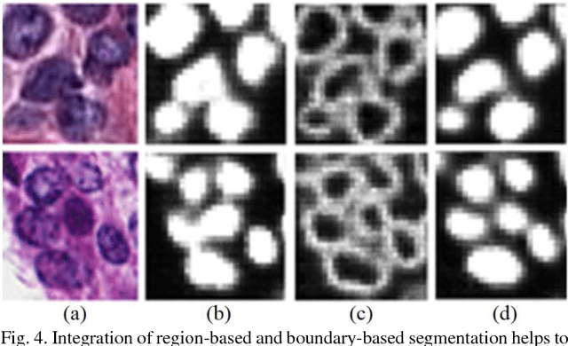 Figure 4 for Deep Learning Models Delineates Multiple Nuclear Phenotypes in H&E Stained Histology Sections