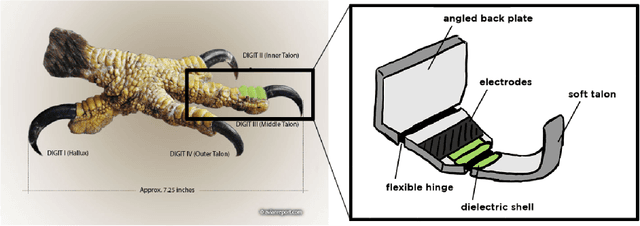 Figure 1 for Flying Hydraulically Amplified Electrostatic Gripper System for Aerial Object Manipulation