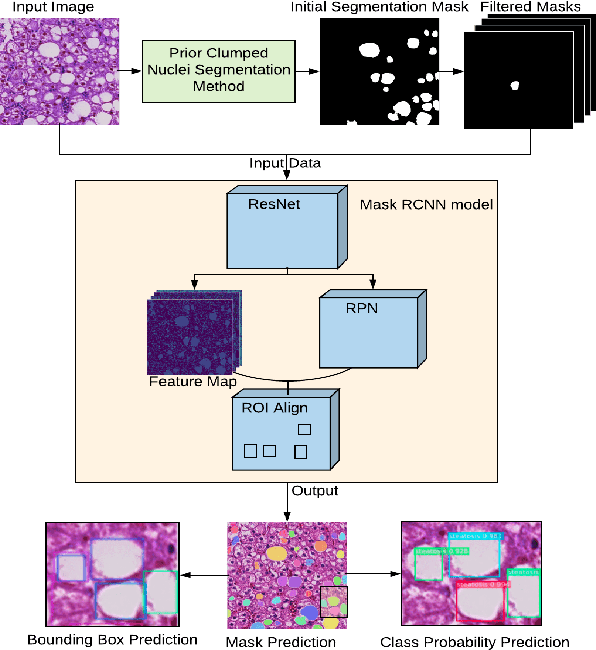 Figure 1 for Liver Steatosis Segmentation with Deep Learning Methods