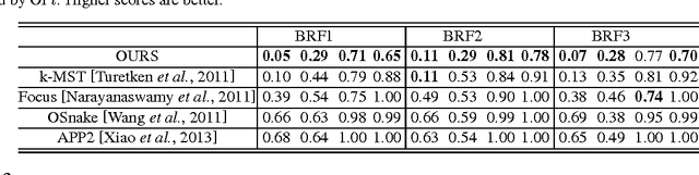 Figure 4 for Modeling Brain Circuitry over a Wide Range of Scales