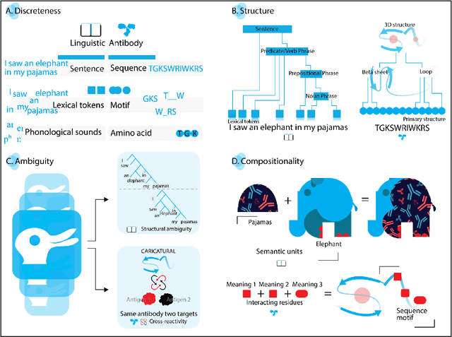 Figure 2 for ImmunoLingo: Linguistics-based formalization of the antibody language