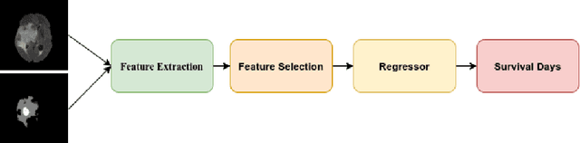 Figure 3 for Brain Tumor Segmentation and Survival Prediction using Automatic Hard mining in 3D CNN Architecture