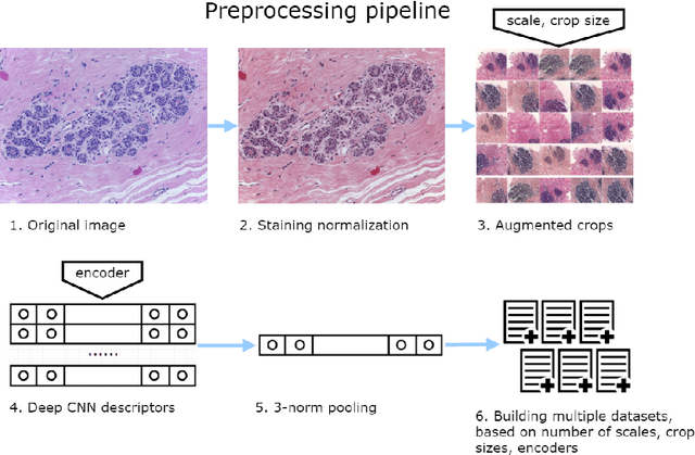 Figure 2 for Deep Convolutional Neural Networks for Breast Cancer Histology Image Analysis