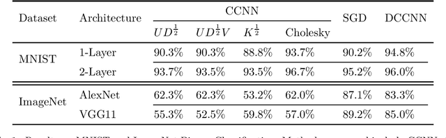 Figure 1 for Dual Convexified Convolutional Neural Networks