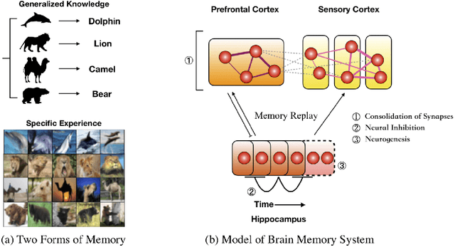 Figure 1 for Triple Memory Networks: a Brain-Inspired Method for Continual Learning