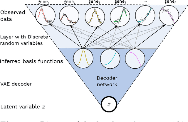 Figure 3 for BasisVAE: Translation-invariant feature-level clustering with Variational Autoencoders