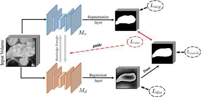 Figure 1 for Dual-Task Mutual Learning for Semi-Supervised Medical Image Segmentation