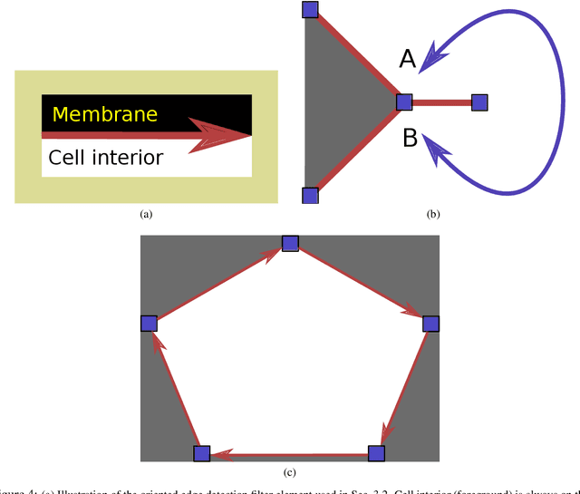 Figure 4 for Efficient 2D neuron boundary segmentation with local topological constraints