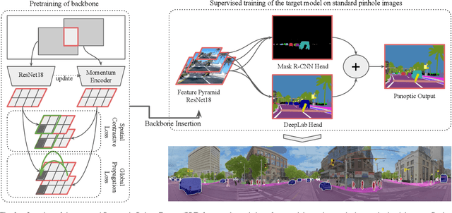Figure 3 for Panoramic Panoptic Segmentation: Towards Complete Surrounding Understanding via Unsupervised Contrastive Learning