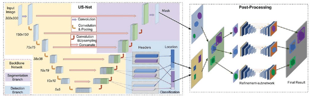 Figure 1 for US-net for robust and efficient nuclei instance segmentation