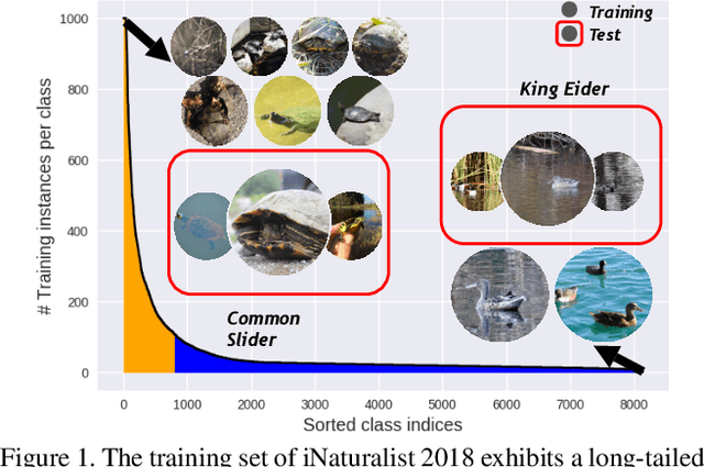 Figure 1 for Rethinking Class-Balanced Methods for Long-Tailed Visual Recognition from a Domain Adaptation Perspective