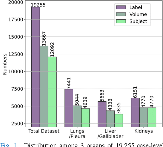 Figure 1 for Weakly Supervised Multi-Organ Multi-Disease Classification of Body CT Scans