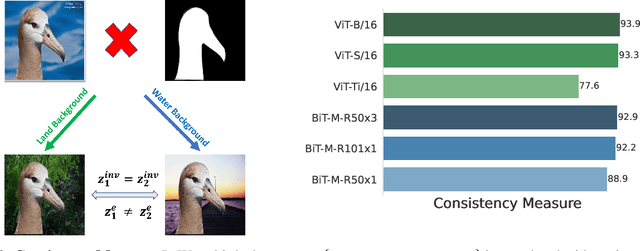 Figure 4 for Are Vision Transformers Robust to Spurious Correlations?