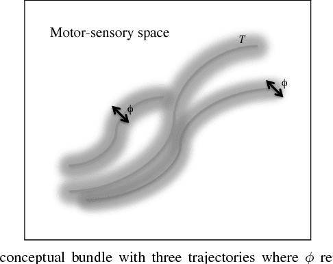 Figure 1 for Neurally Plausible Model of Robot Reaching Inspired by Infant Motor Babbling