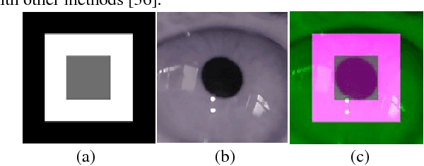 Figure 1 for Head Mounted Pupil Tracking Using Convolutional Neural Network