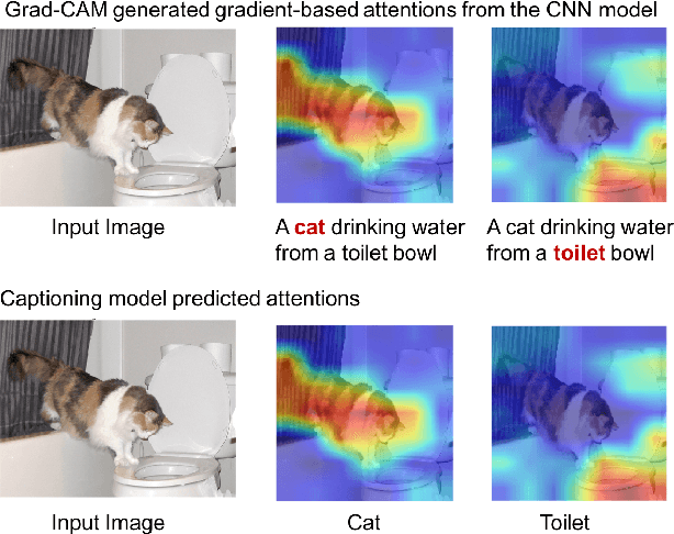 Figure 1 for Image captioning with weakly-supervised attention penalty
