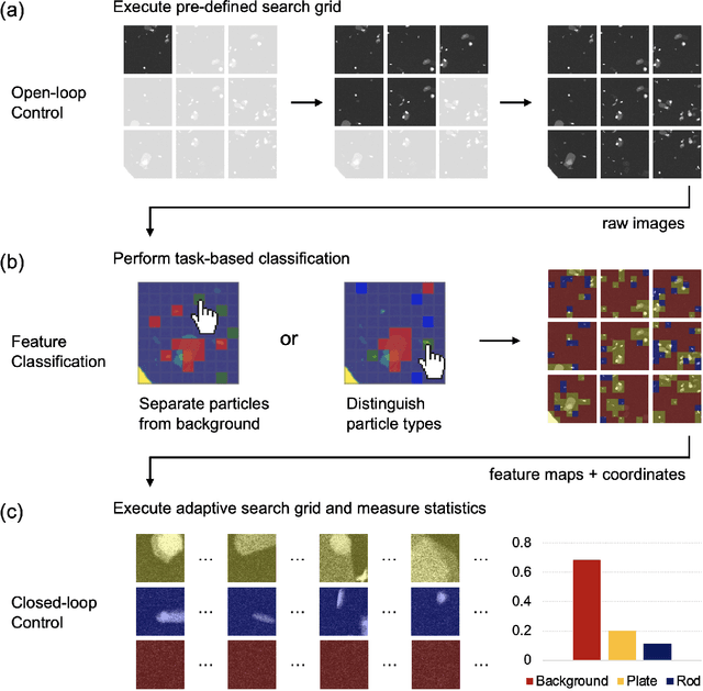 Figure 2 for An Automated Scanning Transmission Electron Microscope Guided by Sparse Data Analytics