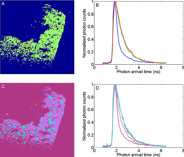Figure 2 for Automatic Segmentation of Fluorescence Lifetime Microscopy Images of Cells Using Multi-Resolution Community Detection