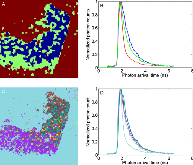 Figure 3 for Automatic Segmentation of Fluorescence Lifetime Microscopy Images of Cells Using Multi-Resolution Community Detection