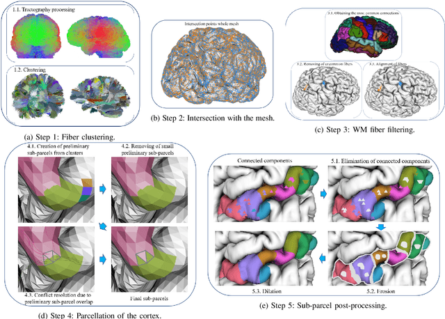 Figure 1 for Cortical surface parcellation based on intra-subject white matter fiber clustering