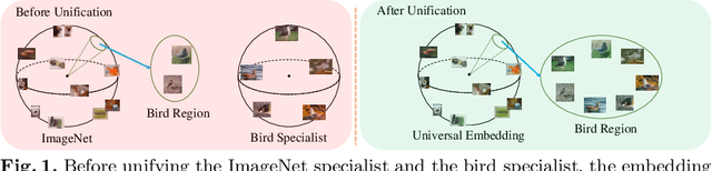 Figure 1 for Unifying Specialist Image Embedding into Universal Image Embedding