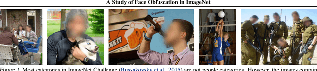 Figure 1 for A Study of Face Obfuscation in ImageNet