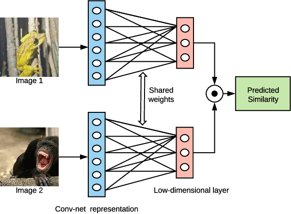 Figure 1 for Extracting low-dimensional psychological representations from convolutional neural networks