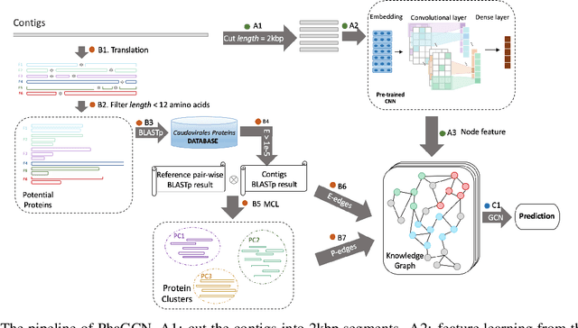 Figure 1 for Bacteriophage classification for assembled contigs using Graph Convolutional Network