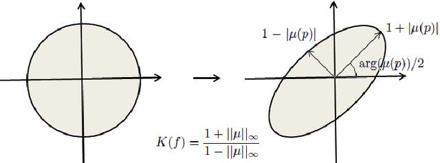 Figure 1 for QCMC: Quasi-conformal Parameterizations for Multiply-connected domains