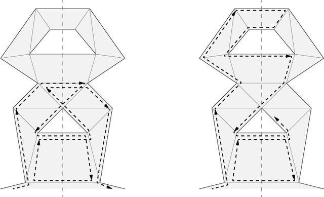 Figure 4 for Meeting in a Polygon by Anonymous Oblivious Robots