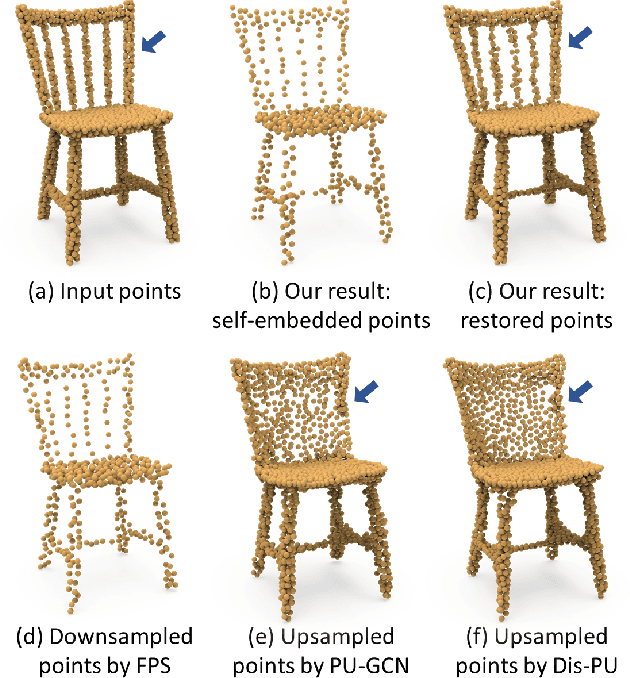 Figure 1 for Point Set Self-Embedding