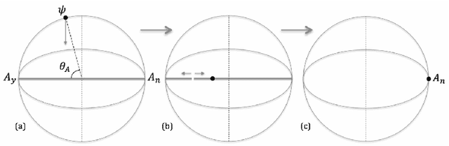 Figure 1 for Quantum Cognition Beyond Hilbert Space I: Fundamentals