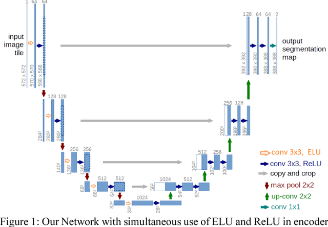 Figure 1 for Segmentation of Microscopy Data for finding Nuclei in Divergent Images