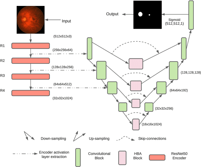 Figure 1 for U-Net with Hierarchical Bottleneck Attention for Landmark Detection in Fundus Images of the Degenerated Retina