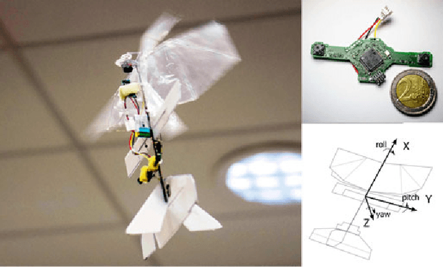 Figure 1 for Obstacle Avoidance Strategy using Onboard Stereo Vision on a Flapping Wing MAV