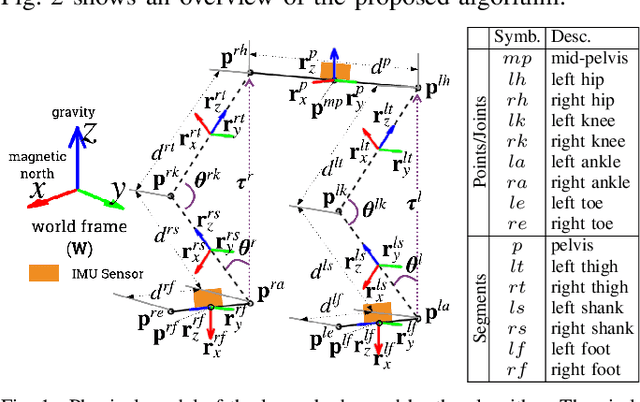 Figure 1 for Estimating Lower Body Kinematics using a Lie Group Constrained Extended Kalman Filter and Reduced IMU Count