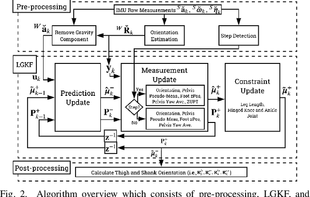 Figure 2 for Estimating Lower Body Kinematics using a Lie Group Constrained Extended Kalman Filter and Reduced IMU Count