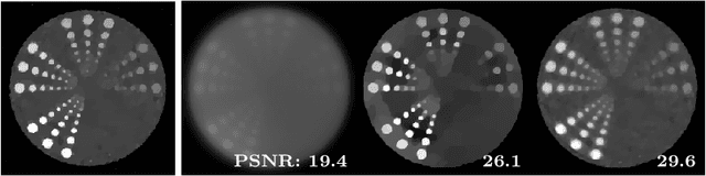 Figure 1 for Stochastic Primal-Dual Hybrid Gradient Algorithm with Arbitrary Sampling and Imaging Applications