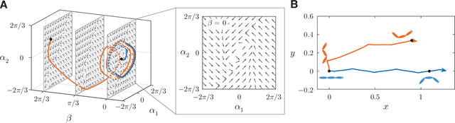 Figure 3 for Learning to swim in potential flow