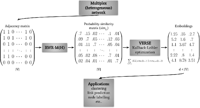 Figure 3 for MultiVERSE: a multiplex and multiplex-heterogeneous network embedding approach