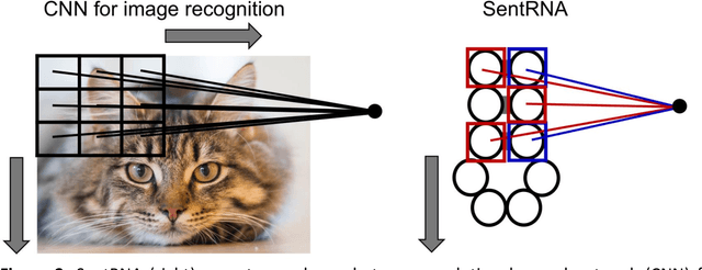 Figure 3 for SentRNA: Improving computational RNA design by incorporating a prior of human design strategies